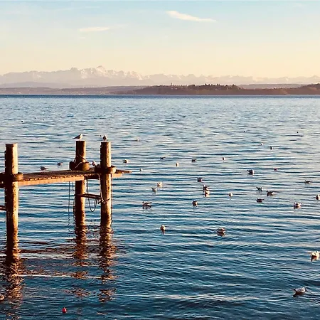 Apartment Waldeck - Im Kurviertel Von
